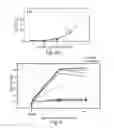 Fig. 06 - DISEASE TREATMENT VIA DEVELOPING NON-SYNGENEIC GRAFT TRANSPLANTATION
