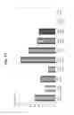 Fig. 15 - DISEASE TREATMENT VIA DEVELOPING NON-SYNGENEIC GRAFT TRANSPLANTATION