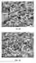 Fig. 05 - Collagen scaffolds, medical implants with same and methods of use