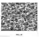 Fig. 06 - Collagen scaffolds, medical implants with same and methods of use
