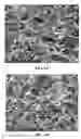 Fig. 09 - Collagen scaffolds, medical implants with same and methods of use