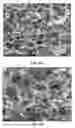 Fig. 10 - Collagen scaffolds, medical implants with same and methods of use