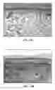 Fig. 17 - Collagen scaffolds, medical implants with same and methods of use