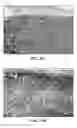 Fig. 18 - Collagen scaffolds, medical implants with same and methods of use