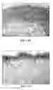 Fig. 22 - Collagen scaffolds, medical implants with same and methods of use