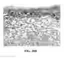 Fig. 32 - Collagen scaffolds, medical implants with same and methods of use