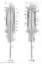 Fig. 05 - Retractable needle adapters and safety syringes