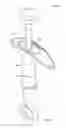 Fig. 02 - SYRINGE SAFETY ASSEMBLY