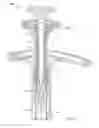 Fig. 07 - SYRINGE SAFETY ASSEMBLY