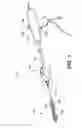 Fig. 02 - Cuff-resistant anchoring balloon for medical device