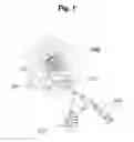 Fig. 02 - Device for protecting the rectal anastomosis