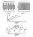 Fig. 10 - Transdermal electrical stimulation devices for modifying or inducing cognitive state