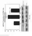 Fig. 15 - Protein activity modification