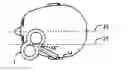 Fig. 01 - Optimising current direction and intensity of transcranial magnetic stimulation