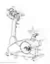 Fig. 01 - Exercise device providing symmetry index