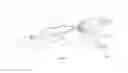 Fig. 04 - Arm-powered swimming aid