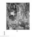 Fig. 25 - Apparatus and method for providing a computer implemented game