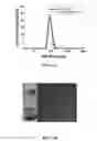 Fig. 12 - HIGH-THROUGHPUT SYNTHESIS OF NANOPARTICLES