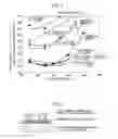 Fig. 02 - EXHAUST GAS PURIFYING CATALYST AND METHOD FOR PRODUCING SAME