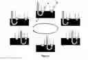 Fig. 05 - Microfluidic Device for Droplet Generation