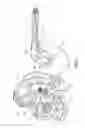 Fig. 02 - SPRAY GUN FOR USE WITH A PRESSURE WASHER