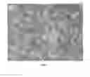 Fig. 02 - NANOWIRE PREPARATION METHODS, COMPOSITIONS, AND ARTICLES