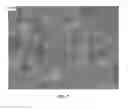 Fig. 08 - NANOWIRE PREPARATION METHODS, COMPOSITIONS, AND ARTICLES