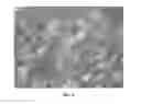Fig. 09 - NANOWIRE PREPARATION METHODS, COMPOSITIONS, AND ARTICLES