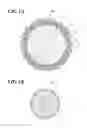 Fig. 02 - Polishing Material Composition And Production Method Therefor