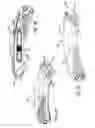 Fig. 05 - Safety cutter apparatus