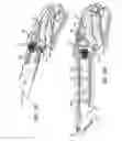 Fig. 15 - Safety cutter apparatus