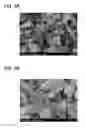Fig. 06 - Method for manufacturing positive electrode active material for power storage device