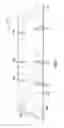 Fig. 07 - Process for forming plastic corrugated container with ultrasonically formed score lines