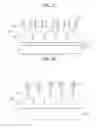 Fig. 06 - FLEXIBLE NANO STRUCTURE INCLUDING DIELECTRIC PARTICLE SUPPORTER