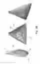 Fig. 09 - Biodegradable sheet