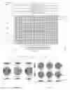 Fig. 09 - System and process for automatic print head registration of a digital printing machine