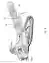 Fig. 03 - Sled module