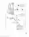 Fig. 02 - METHOD FROM THE THERMAL CONDITIONING OF AN INTERNAL COMBUSTION ENGINE AND/OR OF A PASSENGER COMPARTMENT OF A VEHICLE, AND VEHICLE