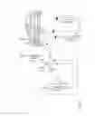 Fig. 06 - METHOD FROM THE THERMAL CONDITIONING OF AN INTERNAL COMBUSTION ENGINE AND/OR OF A PASSENGER COMPARTMENT OF A VEHICLE, AND VEHICLE