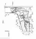 Fig. 08 - Vehicle battery mounting structure