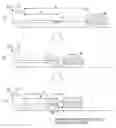 Fig. 01 - INTER-VEHICLE DISTANCE CONTROL APPARATUS
