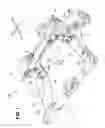 Fig. 02 - Friction-stir welded structure