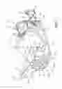Fig. 07 - Three wheeled vehicle