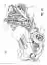 Fig. 22 - Three wheeled vehicle