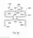 Fig. 32 - Cleanable conveyor frame assembly