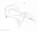 Fig. 02 - HORSE SADDLE TREE FRAMEWORK MADE OF COMPOSITE MATERIAL