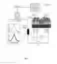 Fig. 07 - Method and System to Control the Mechanical Stiffness of Nanoscale Components by Electrical Current Flow