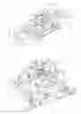 Fig. 01 - Neck ring system and glassware forming process