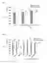 Fig. 02 - Zirconium oxide-based composite material