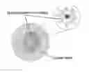 Fig. 01 - Crystal encapsulated nanoparticles methods and compositions